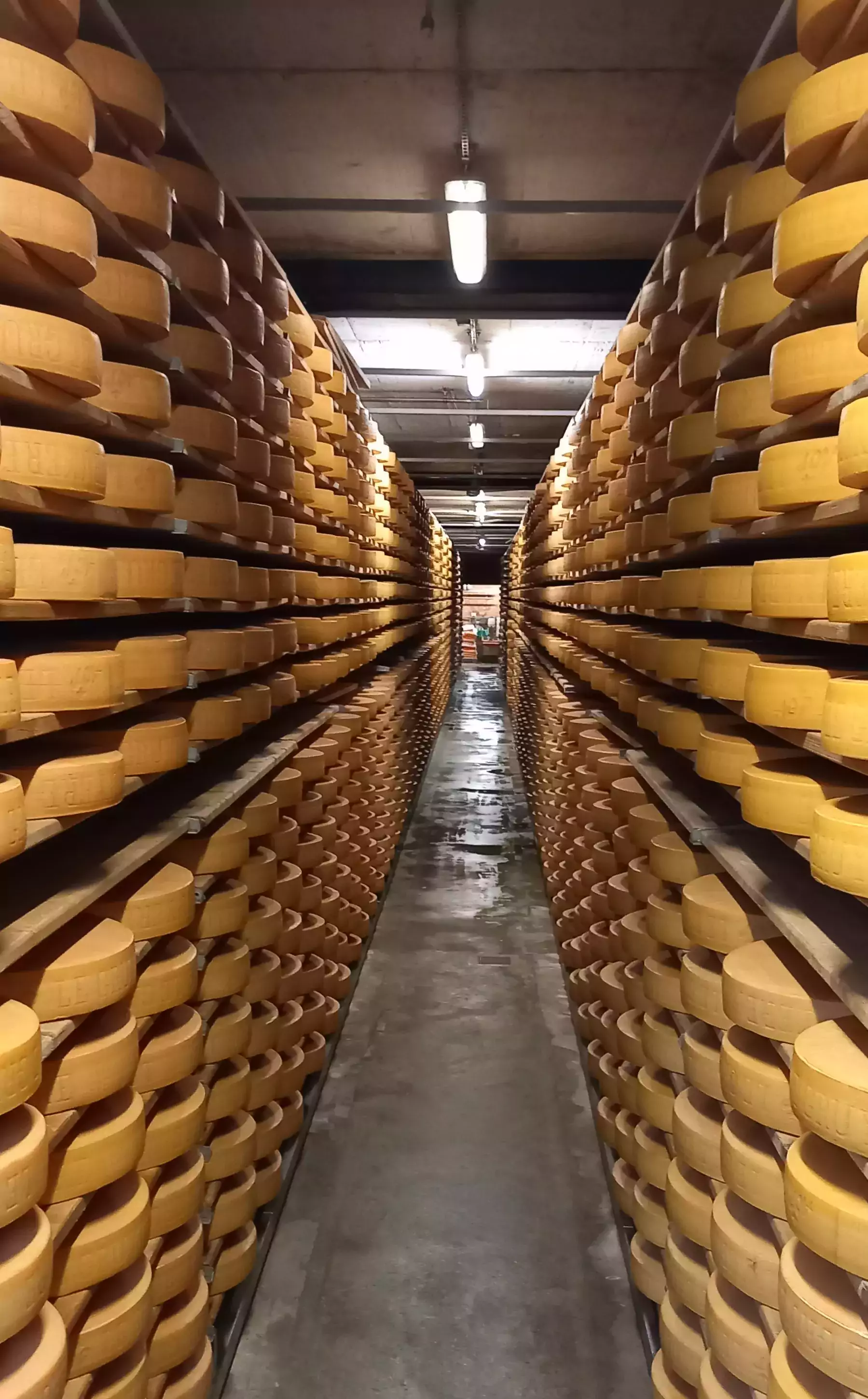 Caves à fromage de Gruyères