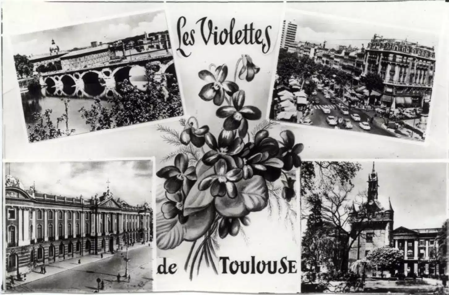 Archives d'entreprise : carte postale représentant les monuments toulousains et un bouquet de violettes de Toulouse