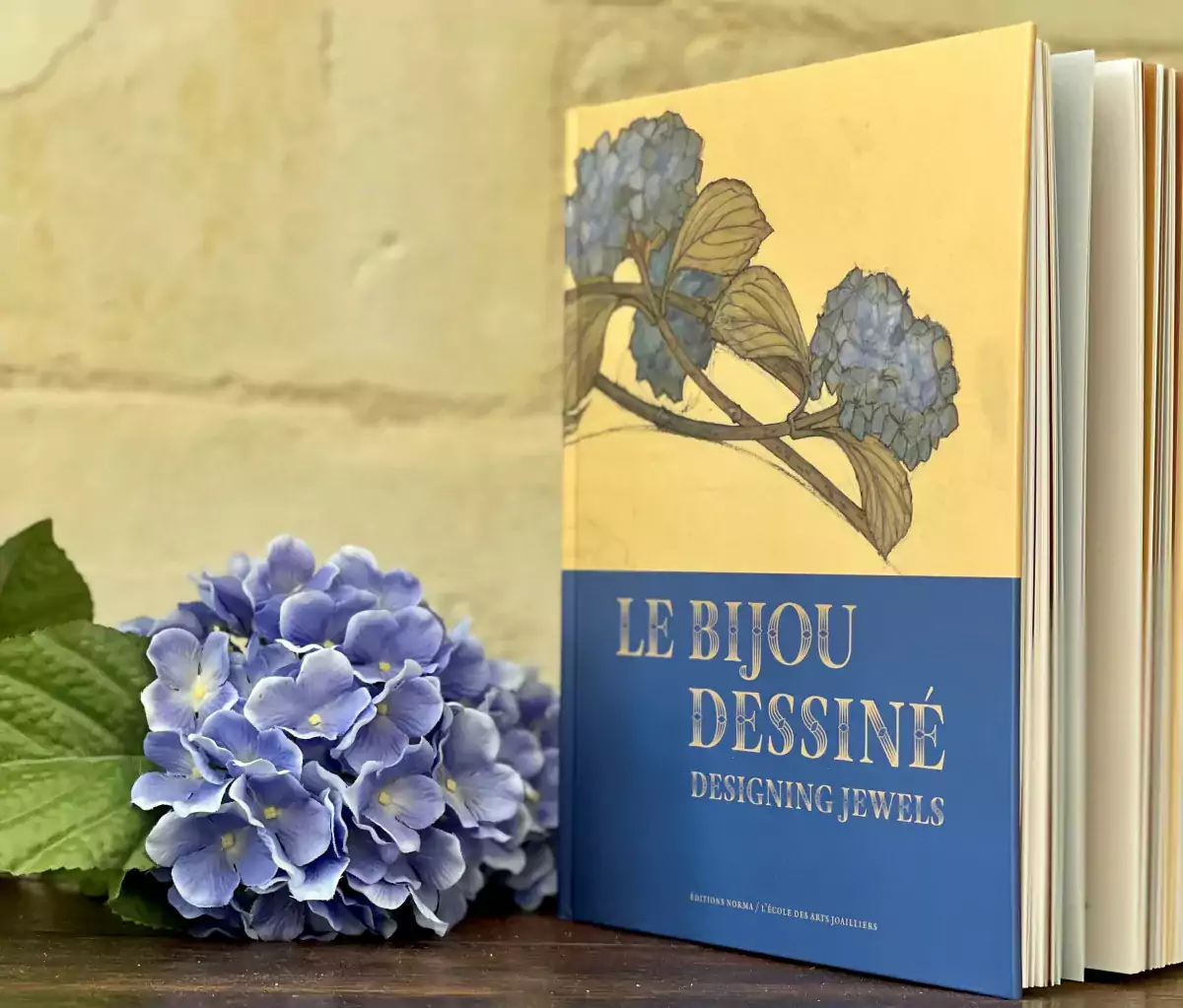 Actualités : livre le bijou dessiné à côté d'un hortensia bleu