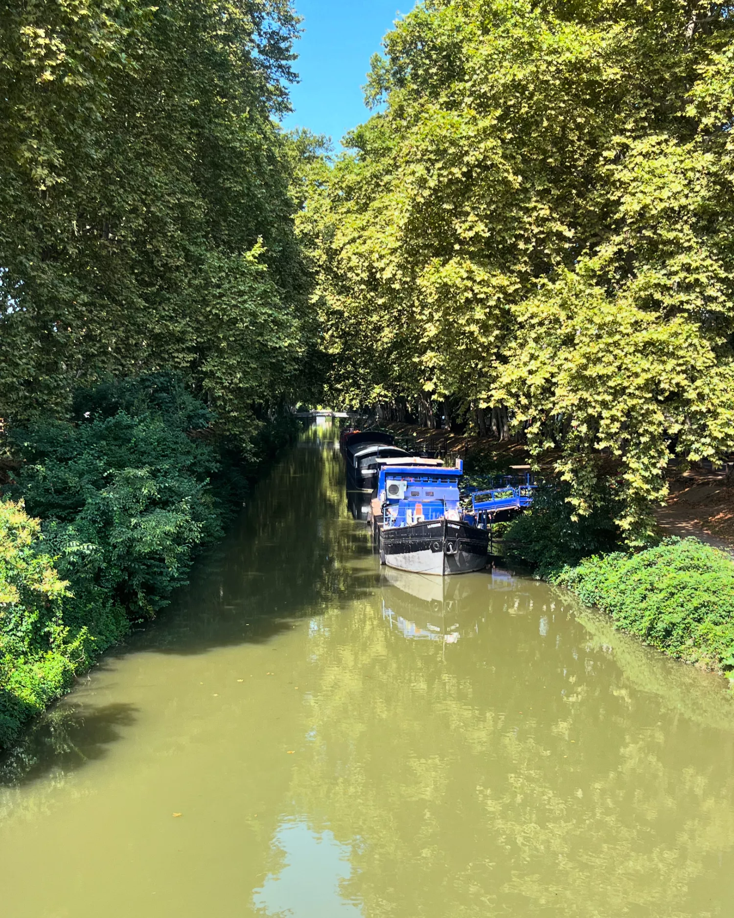 Journées européennes du Patrimoine : Canal du Midi avec une péniche sous les arbres à Toulouse